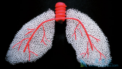 ����ά�������ƹ����л���Ӧע����Щ���⣿