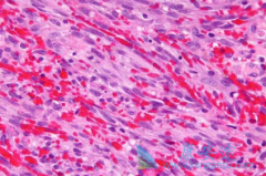 ʲô�ǿ�������������������������Щ�ٴ����֣�