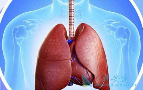 ��Сϸ���ΰ�