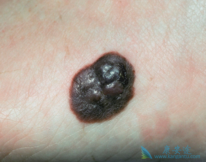 ��ɫ����