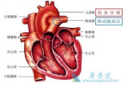 �ζ�����ѹ��֢״����Щ����Щ�˸����׻��Ϸζ�����ѹ��