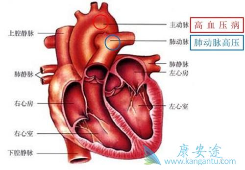 �ζ�����ѹ