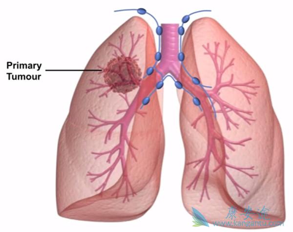 �ζ�����ѹ 