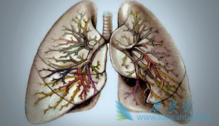 ����ά��