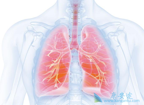 �ΰ����ڴ�Ⱦ��