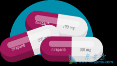 ��������(Niraparib)���ϰ����鵥�������Ч����ת���԰��װ�