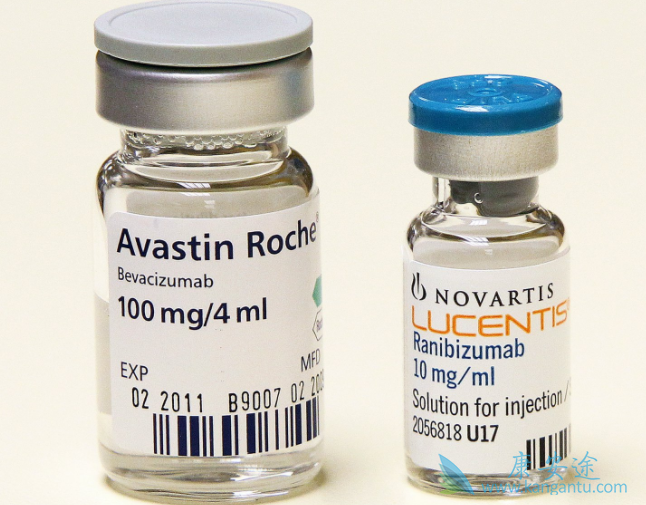 �����鵥��