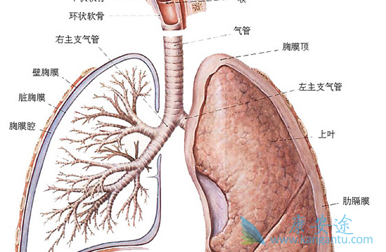 ����ά��