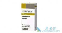 ������������EGFR����ͻ�����ڷ�Сϸ���ΰ���Ч������