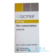 ����ΰ��������ð�������(Afanix)��ʹ�ö�������