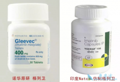 ��������(Imatinib)���ٴ�Ч�������ж��