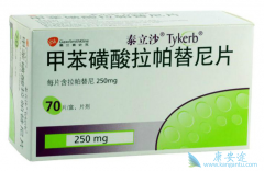 ��������(Lapatinib)��ҩ��������ҩ�������ٰ���Ч����Σ�