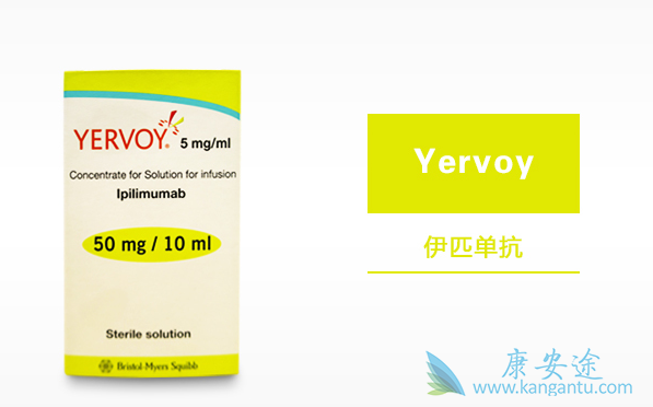 ��ƥľ����