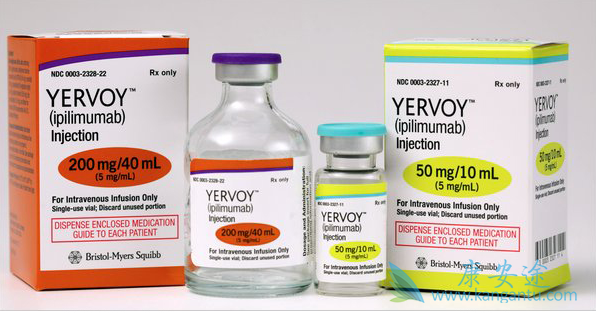 ��ƥľ����