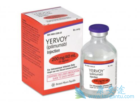 ��ƥľ����