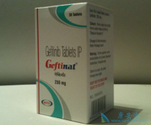 �ΰ�����ҩ��������(GEFITINIB)������ڹǹؽ��׵�����