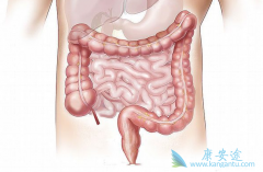 �Ӳ�����֢״�������������᳦����᳦�׵�����