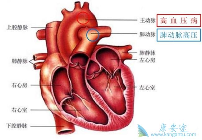 �ζ�����ѹ