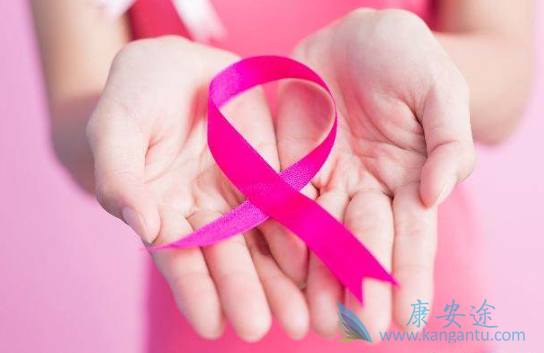 ���ٰ��ڷ�������