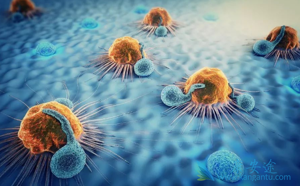 �ΰ�����