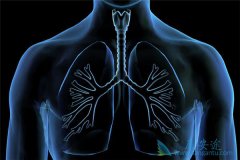 Сϸ���ΰ�������֢״���˿��Ի�����������