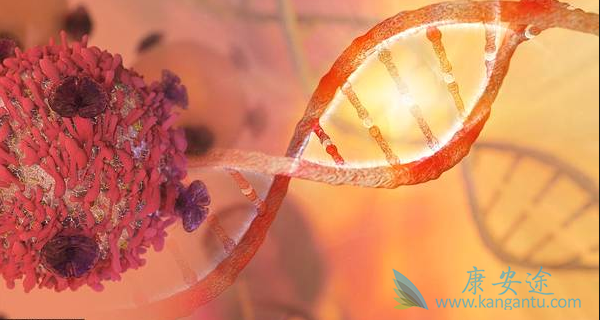 ������Ƥ�ʰ�