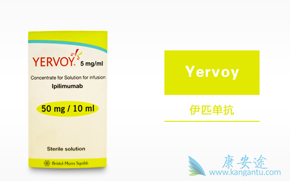 ��ƥľ����