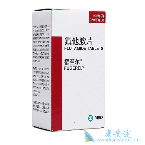 ������Ƭ