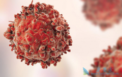 ��ϸ��ת�ƺ�����ϸ�����Զ��Լ��Ĵ�л�ر��