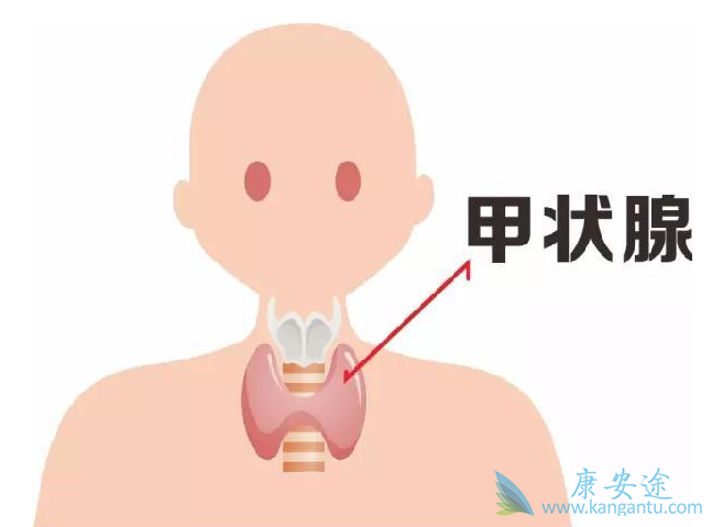 ��֢������