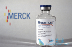 �ð������������������������ʰ������ķ�Ӧ��