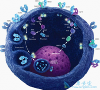 ��Щ��֢�������߿��Գ԰�������ҩ�