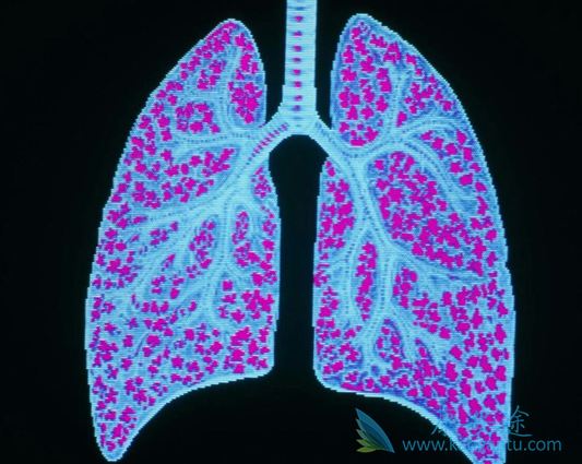 �����Է���