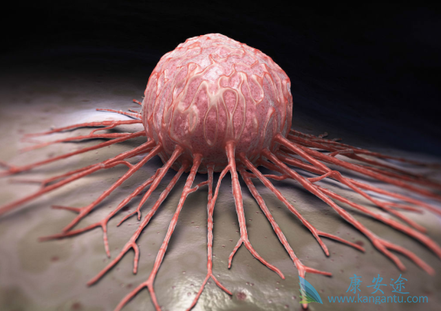 �ΰ�����