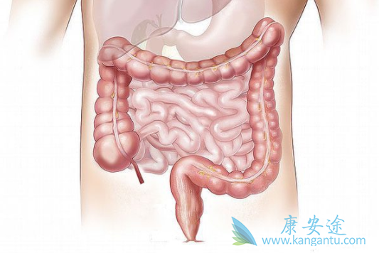 �᳦��������