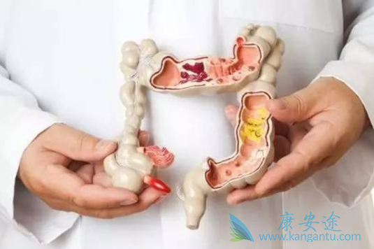 �᳦�������ܻ���