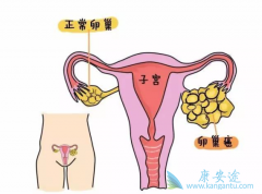 �ѳ������ڶ��ѳ���������ʲô������