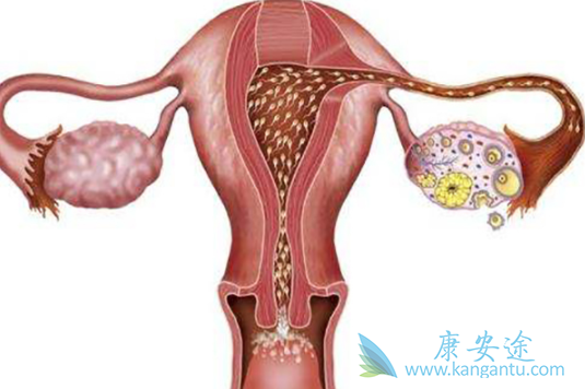 �ѳ�����