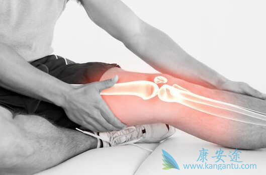 ��¡������Ƭ