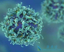 ��ϸ�˽������������������������