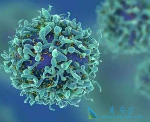 �����������������������