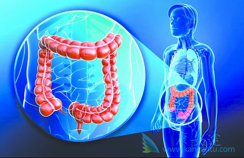 结直肠癌 结直肠癌