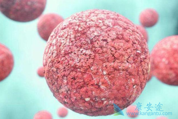 ����ת��