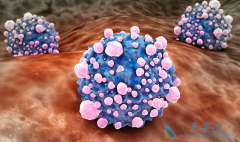 ����ж����������᲻��񻯳ɶ���������