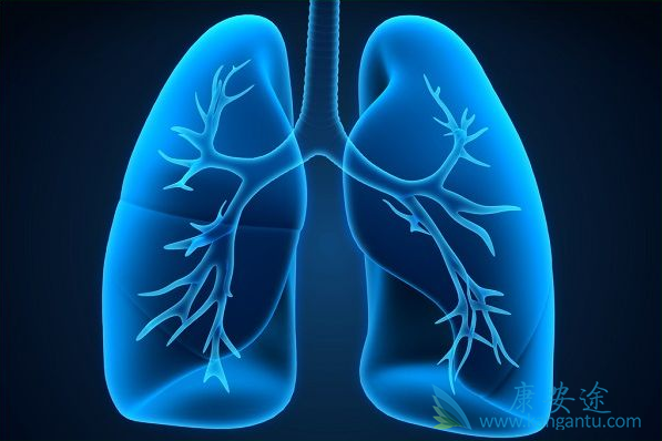 �β�����