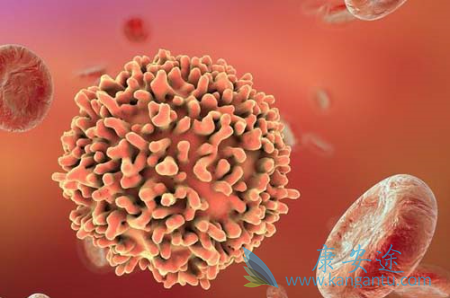 �ǻ�����ܰ���