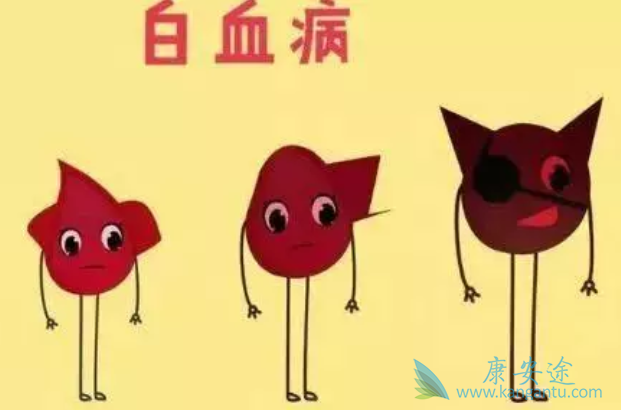 ��Ѫ���Ĳ���