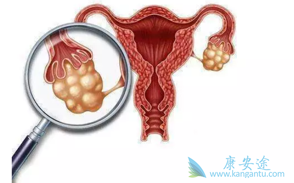 ���׺�����������