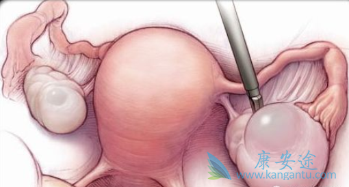 ���׺�����������