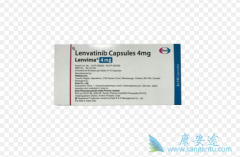 �ط�����(Lenvatinib)���й��ΰ�����ͬ��������Ч�Ͱ�ȫ��